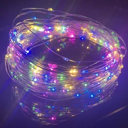 Enchanting Silver Line USB Fairy Lights - Festive LED String Illumination for Holidays and Special Occasions (RGB)