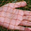 Lawaia Outdoor Cast Network with Steel Pendant Nylon Braided Line Hand Throw Fishing Net with Big Plastic Blue Ring Network 4