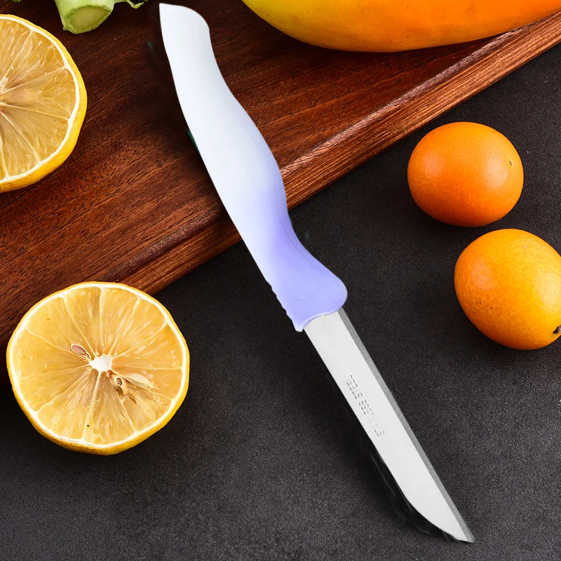 Gradient Fruit Knife Set 4