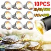 1-10PCS 25/50/75W UVA+UVB Reptile Lamp Bulb Turtle Basking UV Light Bulbs Heating Light Full Spectrum Sunlamp for Amphibians 1