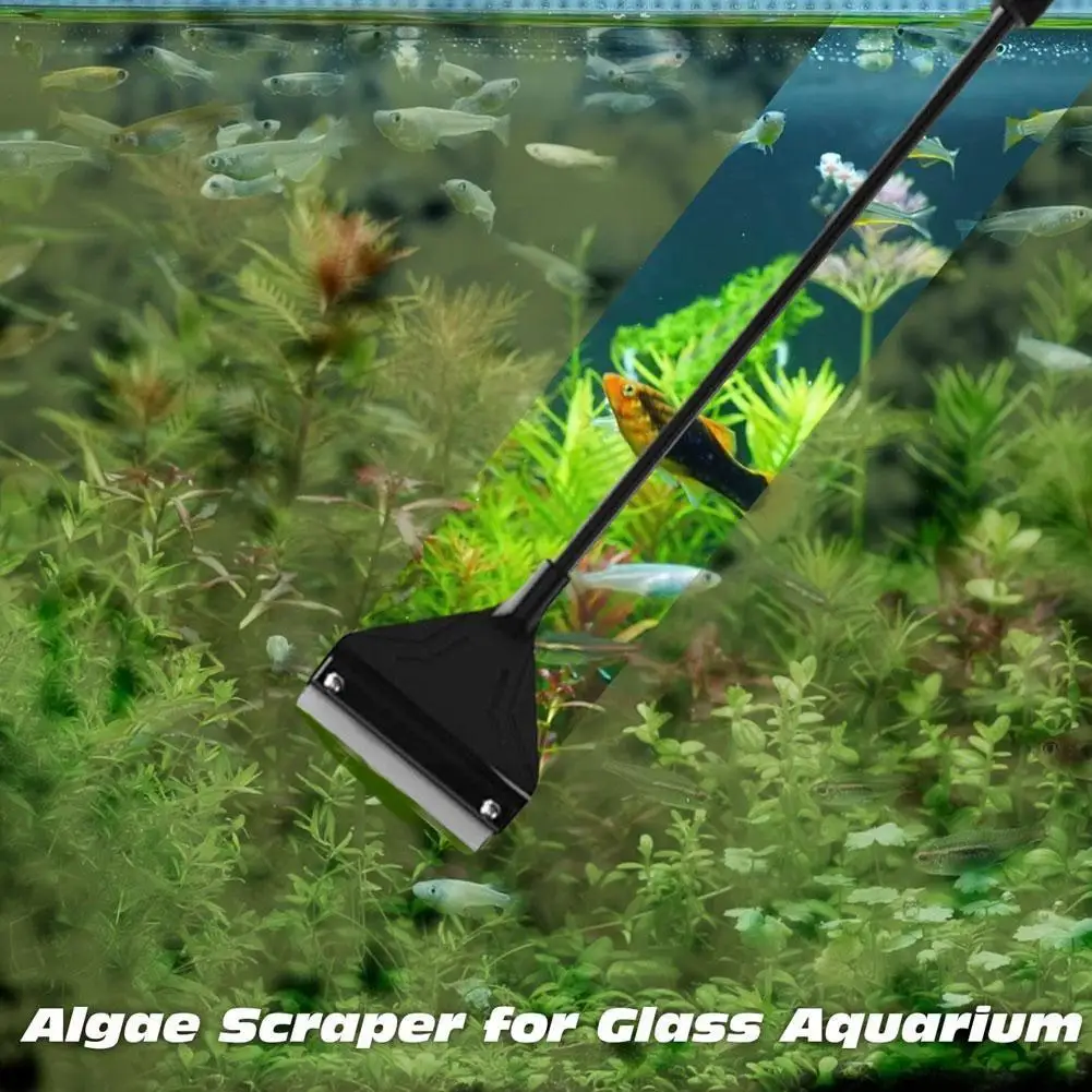Aquarium Fish Tank Algae Remover Long Handle Detachable Blade Tank