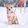 Soft Dog Harness Leash Set Adjustable Dog Harnesses With Cute Bowtie Accessories Warm Winter Pet Vest Lead for Small Medium Dogs 5