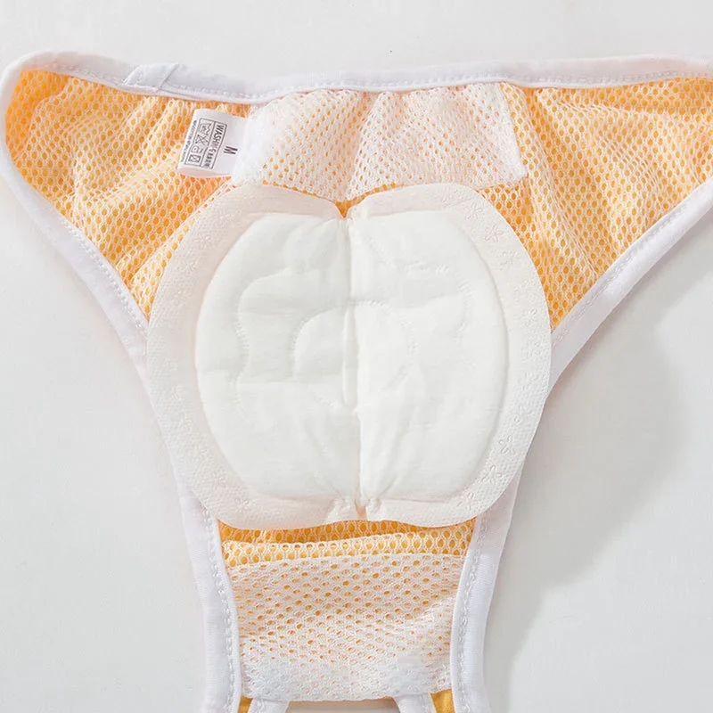 Dog Diapers Pet Diapers Dog Nappies 30pcs for Female Dog Shorts Panties Diaper Pad Female Sanitary Pants Disposable Doggie Physiological Pant