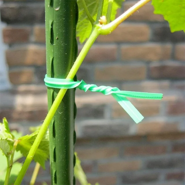 100M Nejlon Kerti Kábelkötegek Táphurok Szalag Virágkábel Kötélhuzal Multifunkciós Hevederek Rögzíthető Újrafelhasználható - Image 5