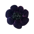 V Purple