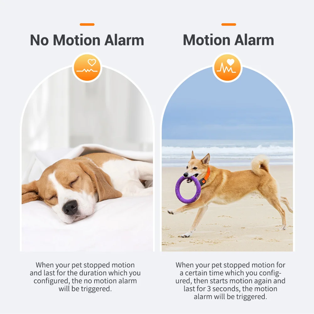 Pet GPS Tracker 4G 4000mah Long Battery Life Waterproof Dogs GPS Sound Light Tracking Hound Location Device MiCODUS MP50G