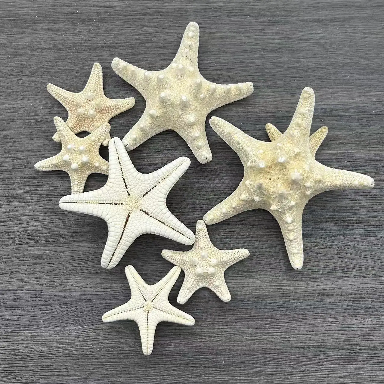 Natural Shell Conch Window Landscaping Mediterranean Decorative Bread Star Micro Landscape Starfish natural shell ornaments