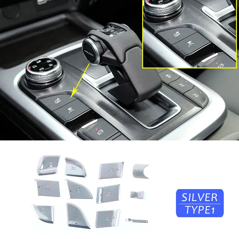 Type 1 silver