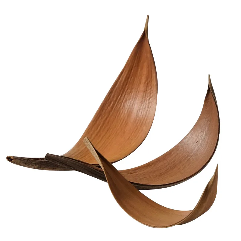 Creative Natural Cocoa Leaf Plate Restaurant Irregular Display Plate Dessert Decorative Tray Creative Leaf Shape Tableware