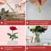 8/12/16/24/48 Pcs Plastic Flower Frogs Round Ikebana Flower Frog for Arrangement with Sucker for Table Centerpieces Summer Decor 3