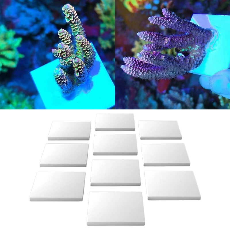 Fish tank ornaments,fish tank decorations,aquarium ornaments Ceramic Coralline Coral Frag Plugs Base T-shaped Tray SPS Seawater Coral Frag Plate Base Aquarium Plant Decorations