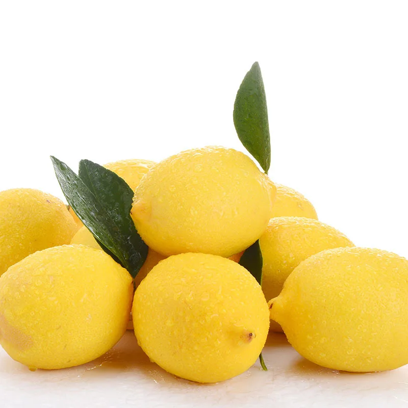 Mini Artificial Lemon Fake Foam Fruits and Vegetables Berries For Wedding Christmas Decoration DIY Scrapbooking 5/20/50pcs