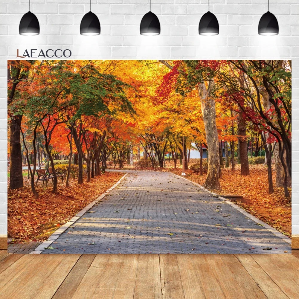 Laeacco   ,   ð ȣ ǳ, ް ,  ʻȭ  