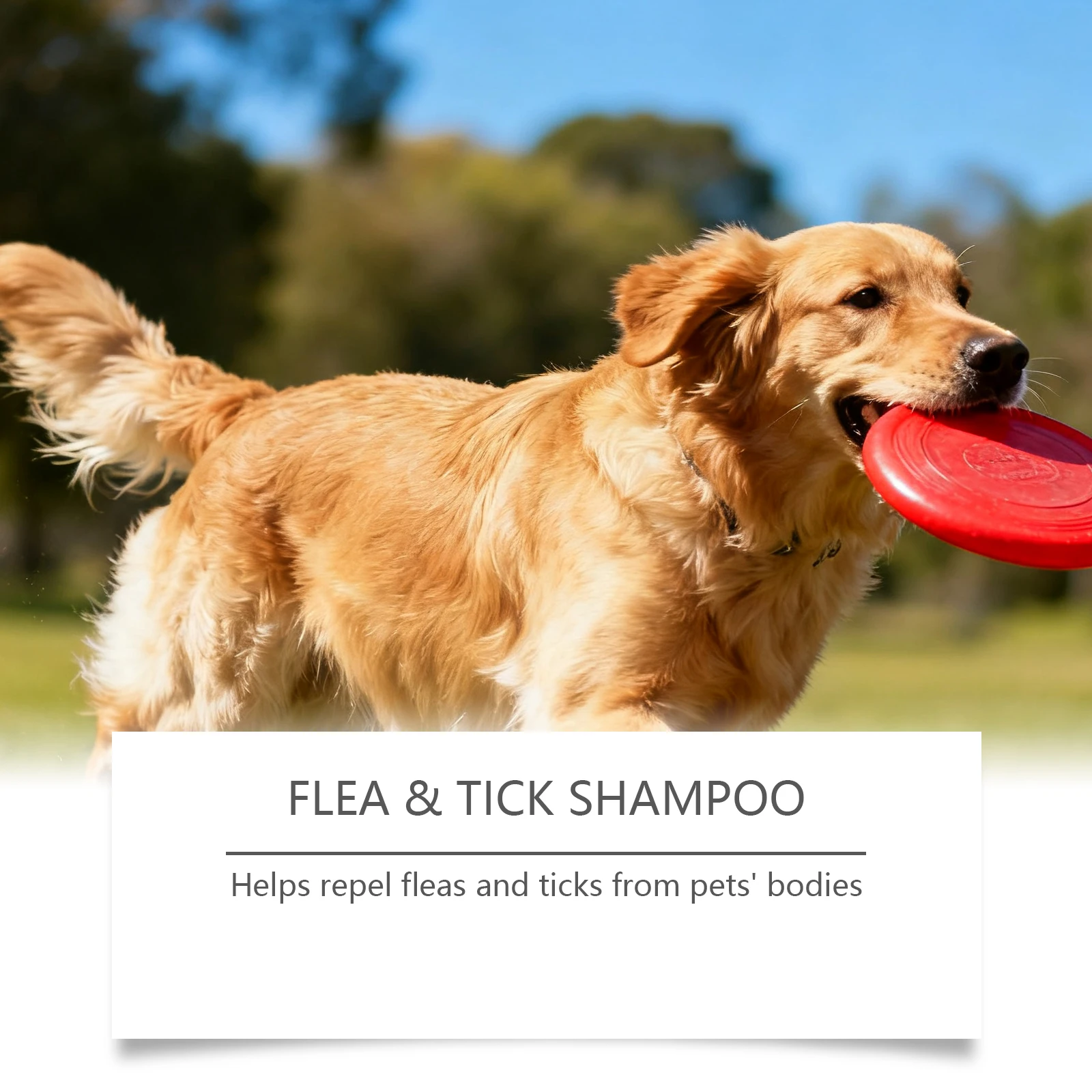 Shampoing doux pour chiens et chats, anti-puces et anti-tiques, nettoyant pour le pelage, élimine les puces et les tiques, repousse les parasites, apaise les irritations cutanées._voghion.com