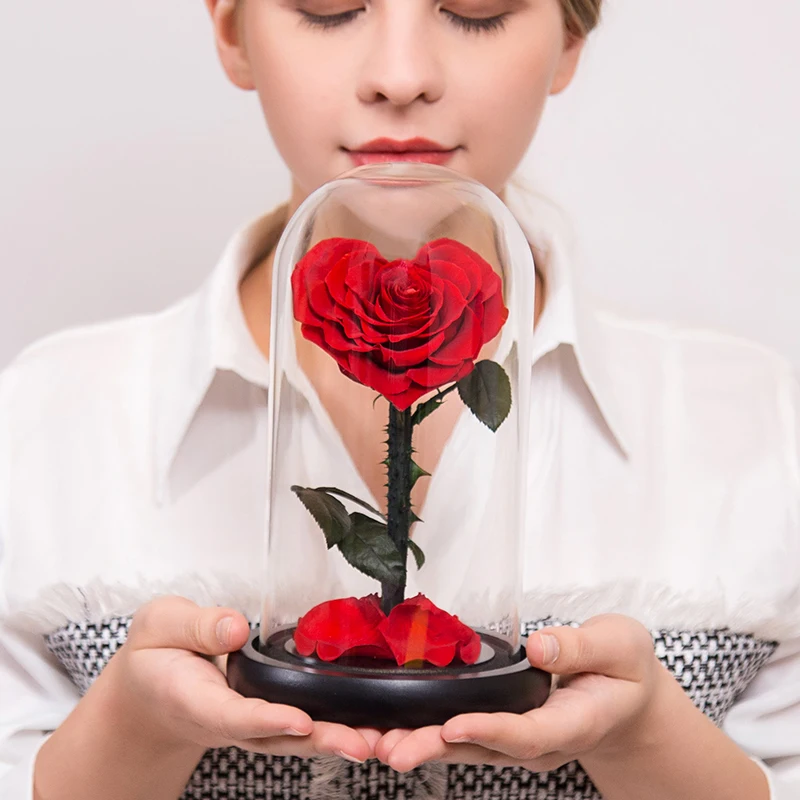 

Valentines Beauty and The Beast Preserved Flowers Eternal Rose In Glass Dome Mothers Day Birthday Gift for Women Girlfriend