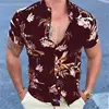 Hawaiian Shirt For Men 2024 3d Print Short Sleeve Blouse Beach Holiday Tops Summer Oversized Lapel Clothing Camisa Masculina 5