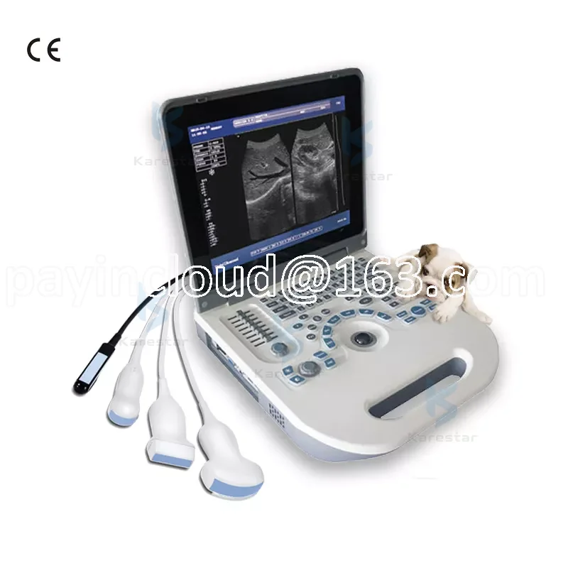 Mindray Vet Ultrasound Portable veterinary Ultrasound machine price ...