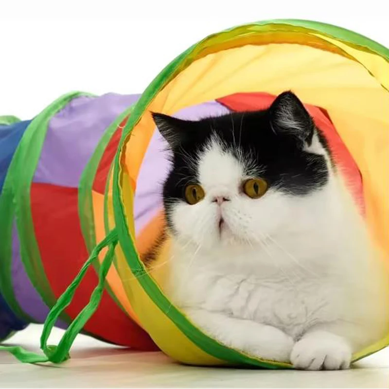 Hot Cat Tunnel Pet Tube Collapsible Play Toy Indoor Outdoor Kitty Puppy Toys for Puzzle Exercising Hiding Training Pet Toys 5