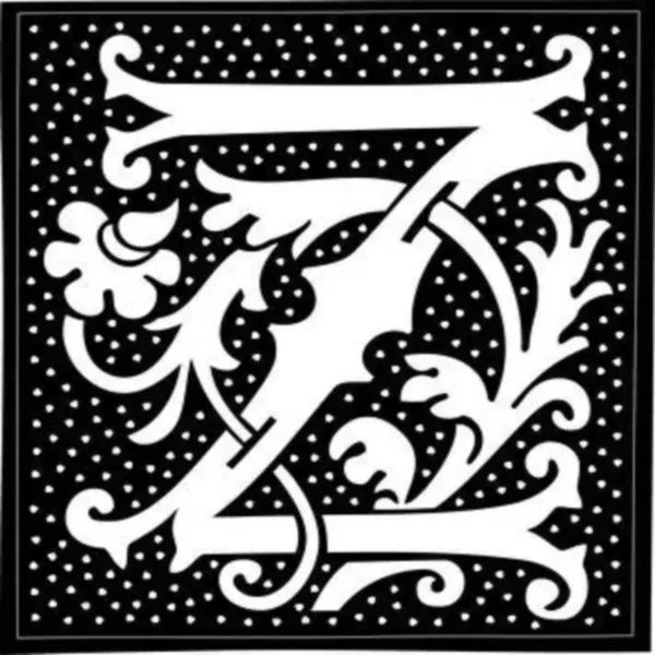 Z Fashion Store