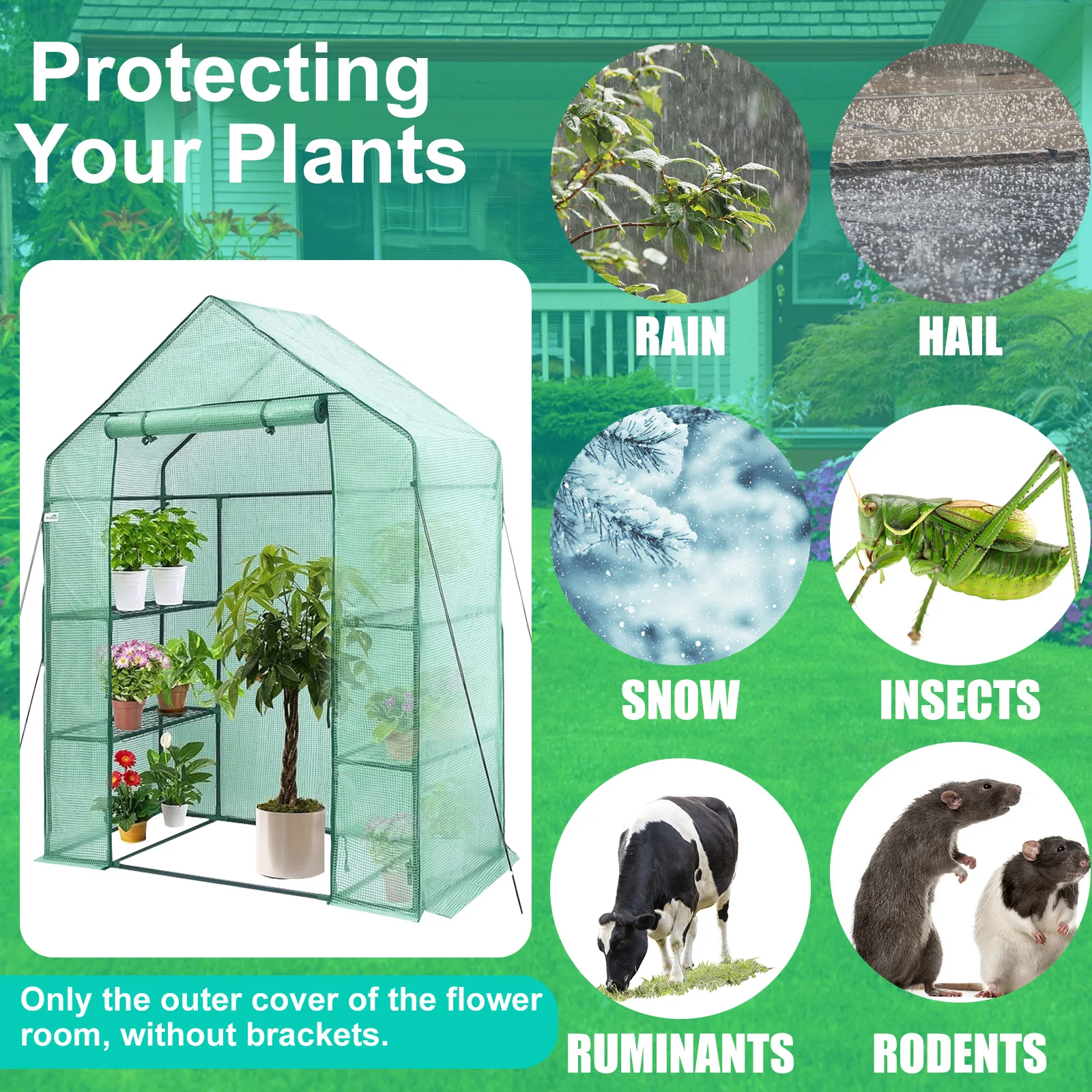 Gardan - Juego De Accesorios Para Esa De Pájaros : Aazon.es