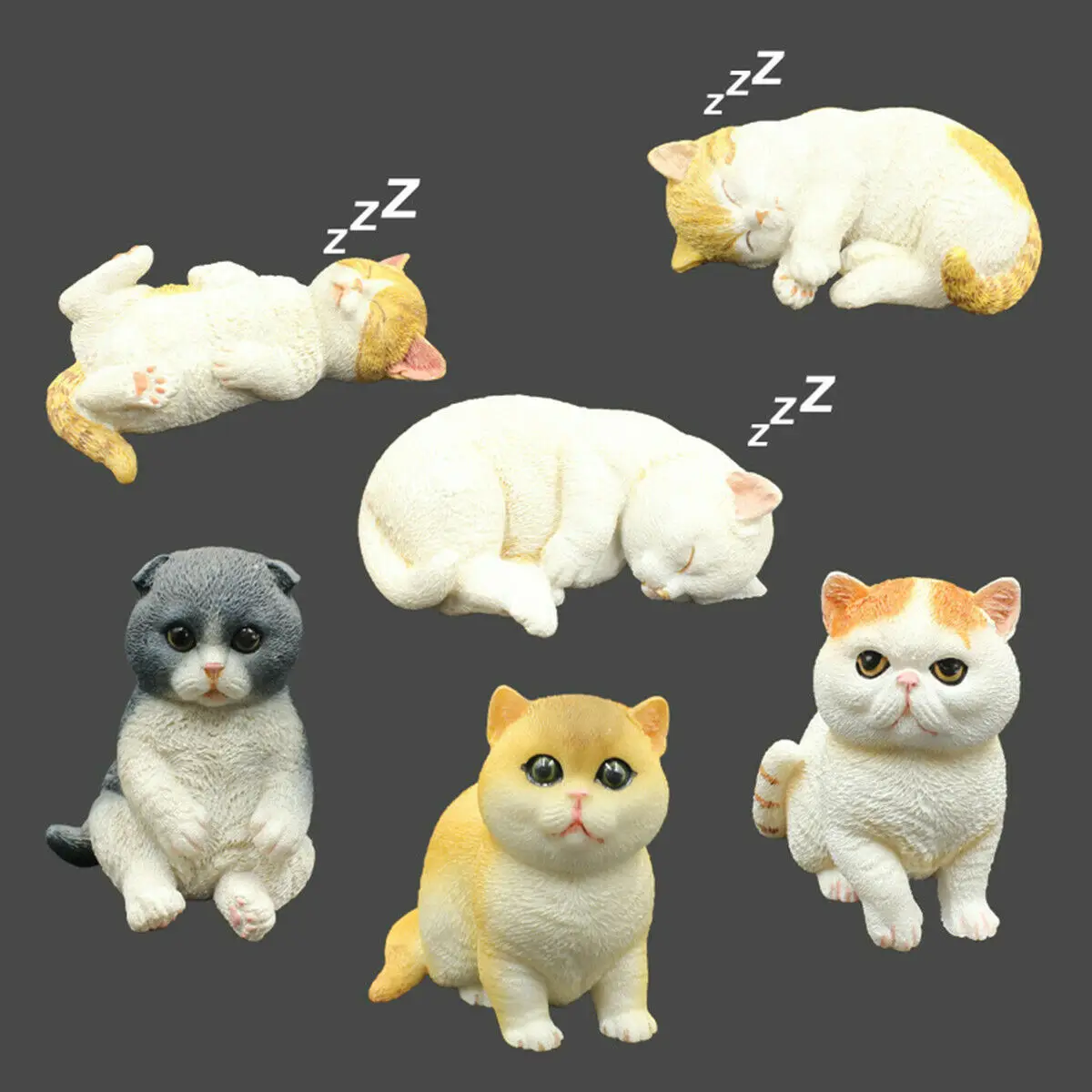 

Tortoiseshell Cat British Shorthair Cat ExoticShorthair Scottish Fold Pet Figure Animal Model Kids Child Toys Ornament Decor