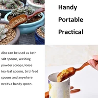 5Pcs Mini Garden Scoop Multi-function Succulents Soil Plastic Shovel Spoons Tool Mini Garden Scoop Multi-function Succulents 2