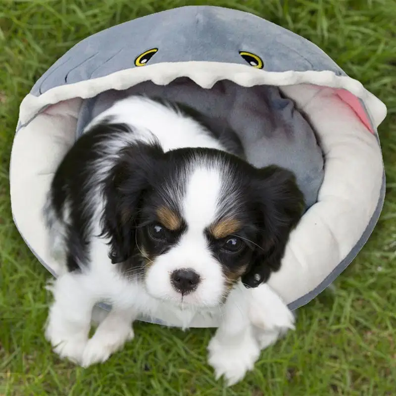

Shark Cat Bed Cave Warm Dog Cat Bed Warm Kitten Bed Shark Bed House With Non Slip Button Indoor Cats and Dogs Bed Pet Supplies