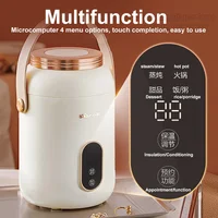 Ours cuiseur à riz électrique multifonctionnel Mini Pots offre antiadhésif cuisson maison et appareil de cuisine 220V avec cuiseur vapeur 2