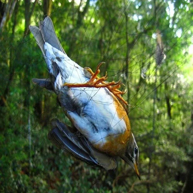 15M Mesh Anti Bird Mist Net Agricultural Orchard Protect Prevent Damage Supply Garden Netting Mesh Balcony Greenhouse Net