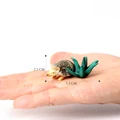 Hedgehog-3