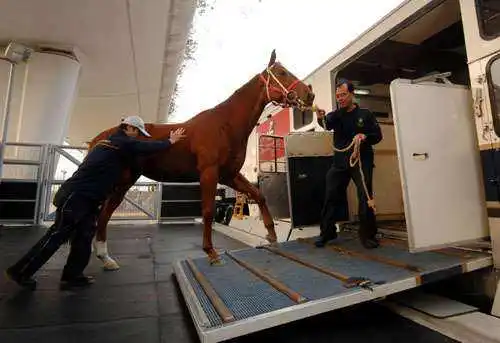 Рисунок 5 - 2023 экономичный роскошный популярный