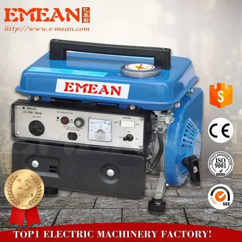 Gasoline Generator Tg950
