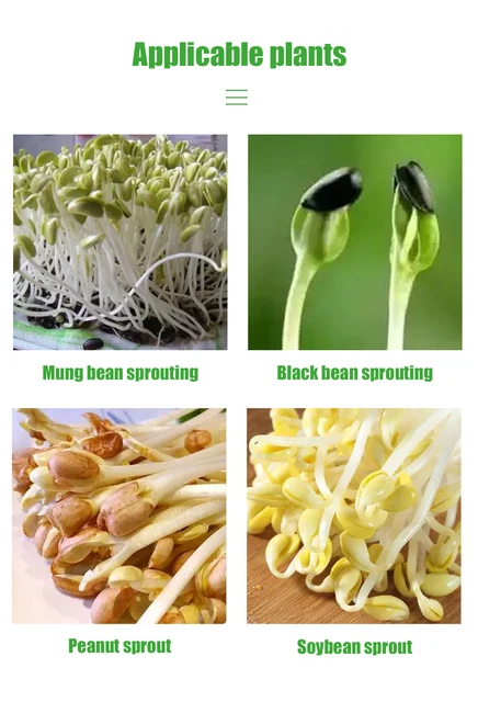 KAHEIGN Vassoi Germinazione Semi - Set 6 Pezzi Con Coperchio Per Idroponica, 32x26 Cm - Foto 2