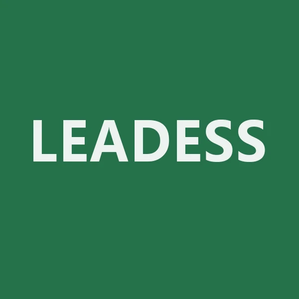 Leadess Flagship Store