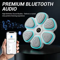 2025 Music Boxing Machine for Adults Bluetooth Music Punching Machine with Gloves 9 Modes and Speeds Wall Boxing Punching Pad H 2