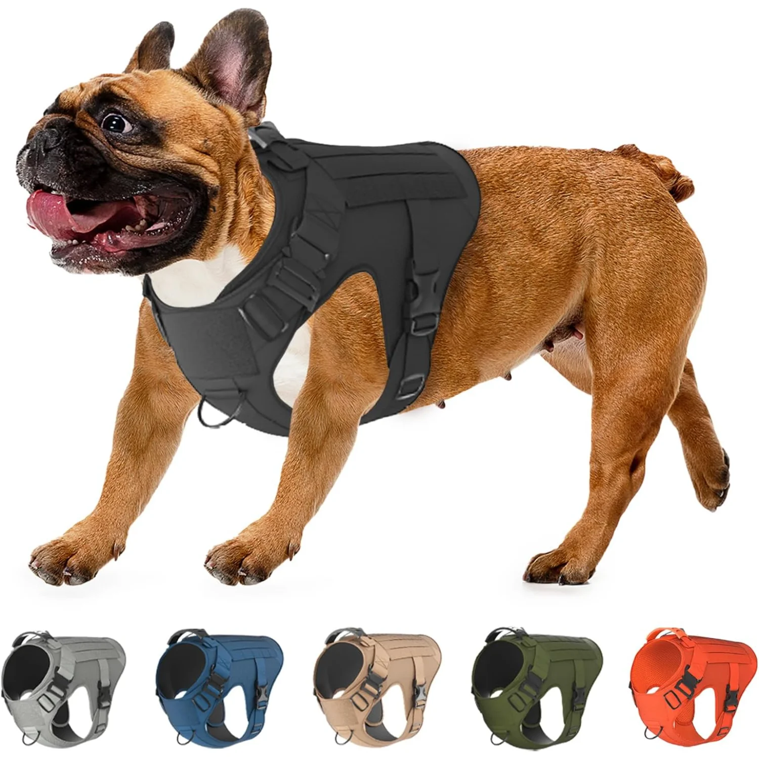 est22-27 Olive Black