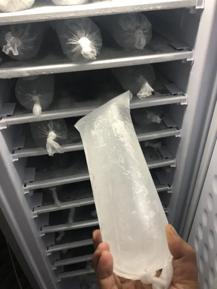 198L DC 24V Ice Block Upright Freezer 11lays/7 Lays Commercial Solar Panel Gel Battery 70kg Per 24 Hours DIY Solar Ice Maker 2
