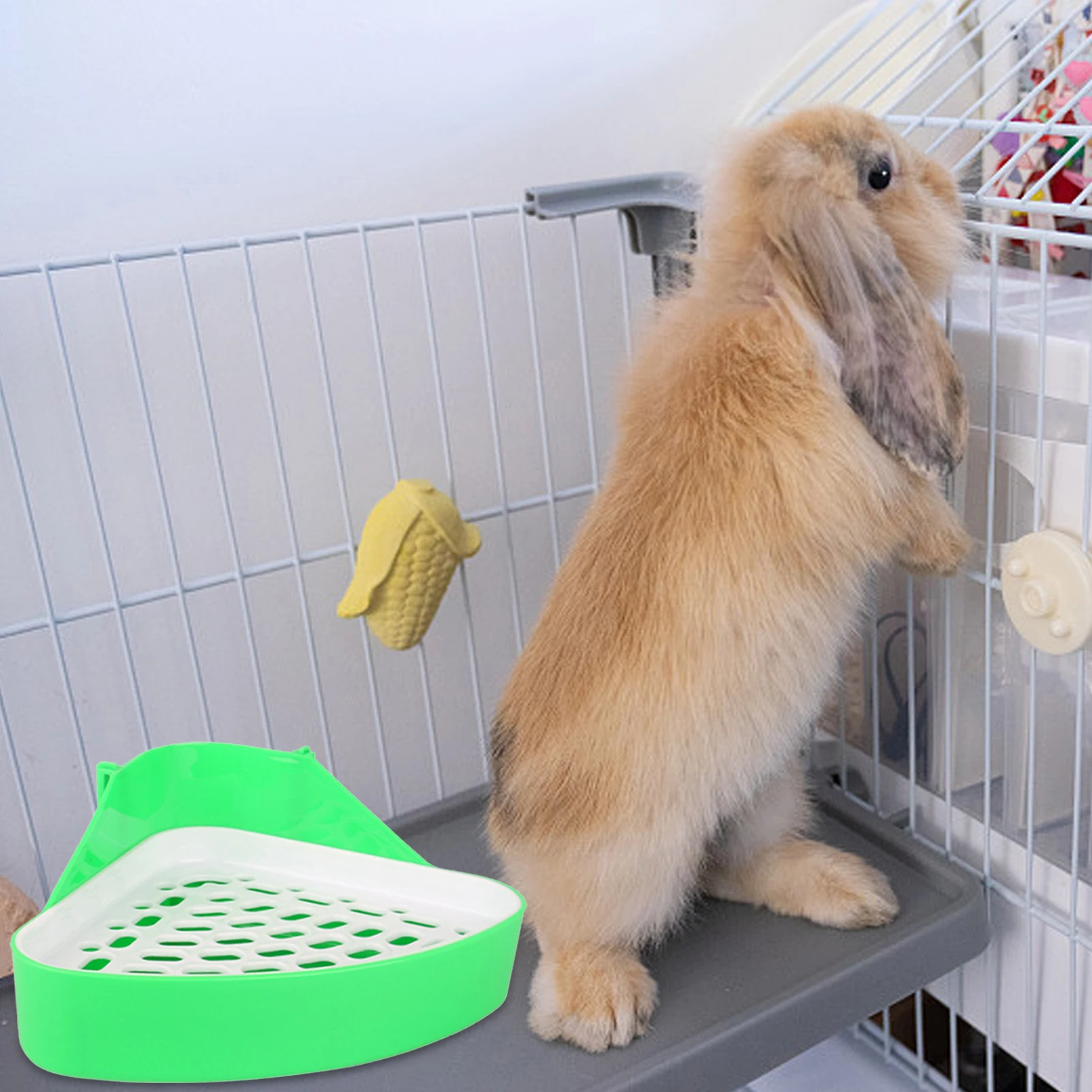 Inodoro Mascotas Orinal Esquina Conejo Orinal Conejillos - Temu Mexico