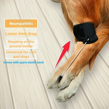 Supporto per la gamba posteriore del cane disabilitato Aiuto per la paralizia per la debolezza e le fratture Artrite e il recupero della neurite per cani e gatti