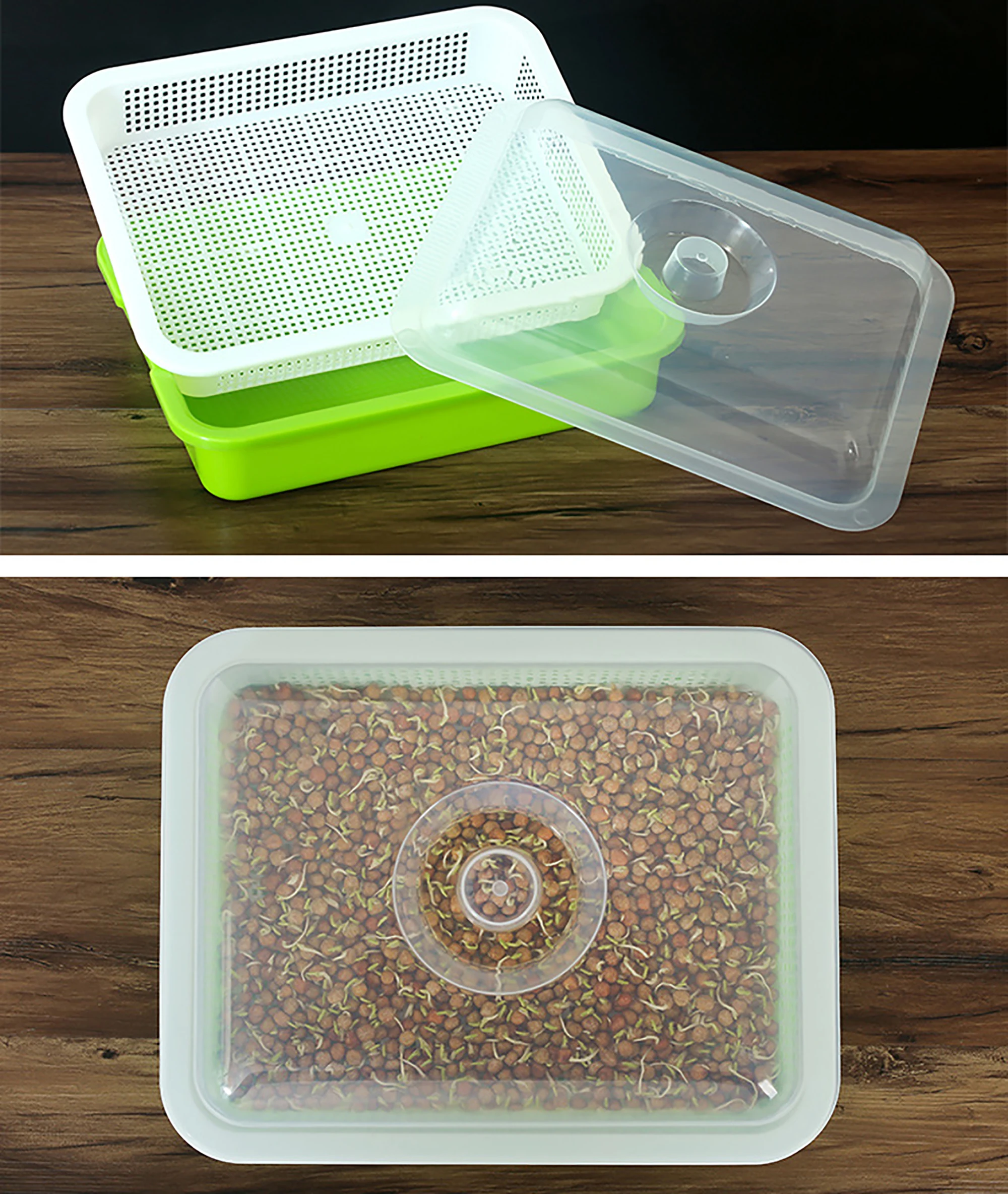 Sprout Hydroponic Seedling Tray With Lid 4