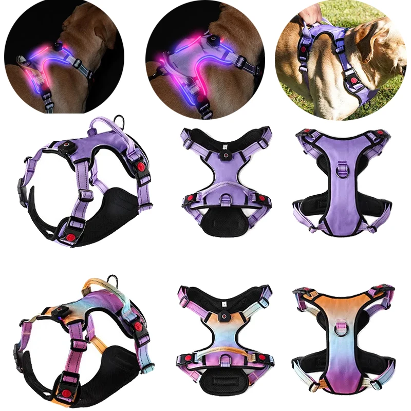 Luminous Large Dog Harness 2