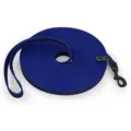 LS blue