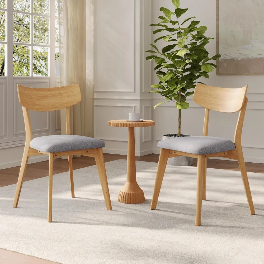 Dining Chairs Set of 2, Mid Century Modern Dining Chairs with Curved ...