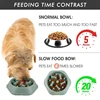 Slow Feeder Dog Bowl Anti-choking Puppy Food Bowl Anti-slip Pet Slow Eating Dog Dishes Puzzle Feeders for Dogs Small Medium 5