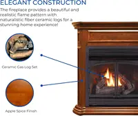Dual Fuel Ventless Gas Fireplace with Mantel - 32000 BTU Remote Control Apple Spice Finish - Model# DFS-400R-4AS 2
