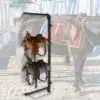 Saddle Rack Wall Mount Holds Tack, Pad, Accessories 4 Tier for Western/English Saddles Equestrian Equipment for Horse Tack Room 3
