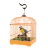 Voice Control Birdcage Toy Tots Toys Realistic Sounds Decorate Plastic Talking Chirping Parrot 1