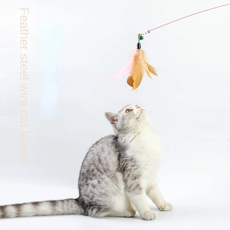 Simulation Bird interactive Cat Toy Funny Feather Bird with Bell Cat
