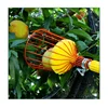 Metal/Plastic Fruit Picker Head Without Pole Fruit Collector Harvest Picking Apple Citrus Pear Garden Hand Tools 4