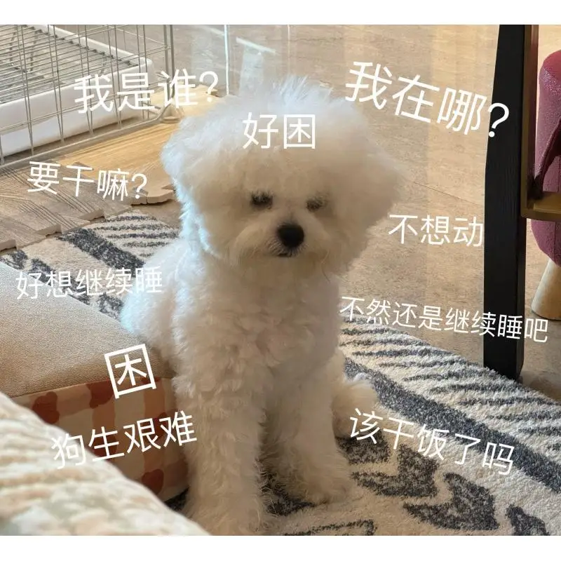 방수 상자 보호 쉘 커버 Insta360 ONE RS 파노라마 카메라 액세서리용 휴대용 수중 다이빙 하우징 커버